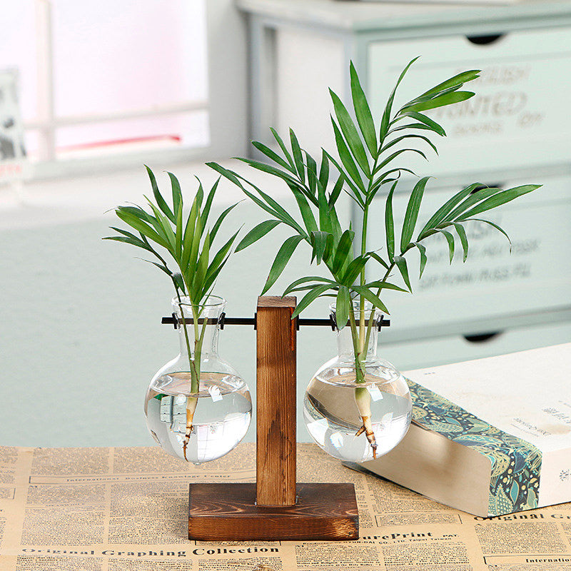 Vaso de vidro sofisticado para planta 6 Rede Canan