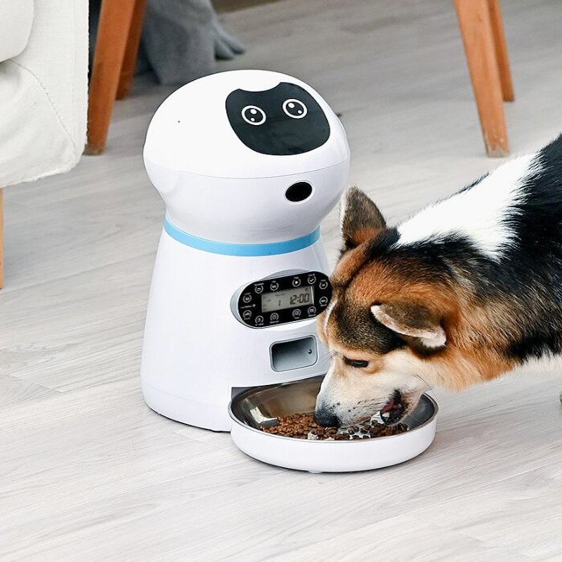 Robô alimentador inteligente para pets com tempo e porção programáveis Rede Canan