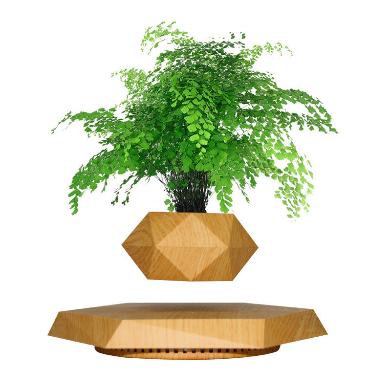 Vaso para planta com levitação magnética e rotação de 360º Rede Canan