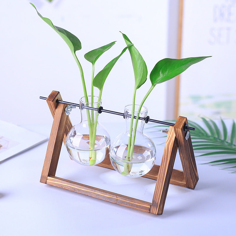 Vaso de vidro sofisticado para planta 5 Rede Canan