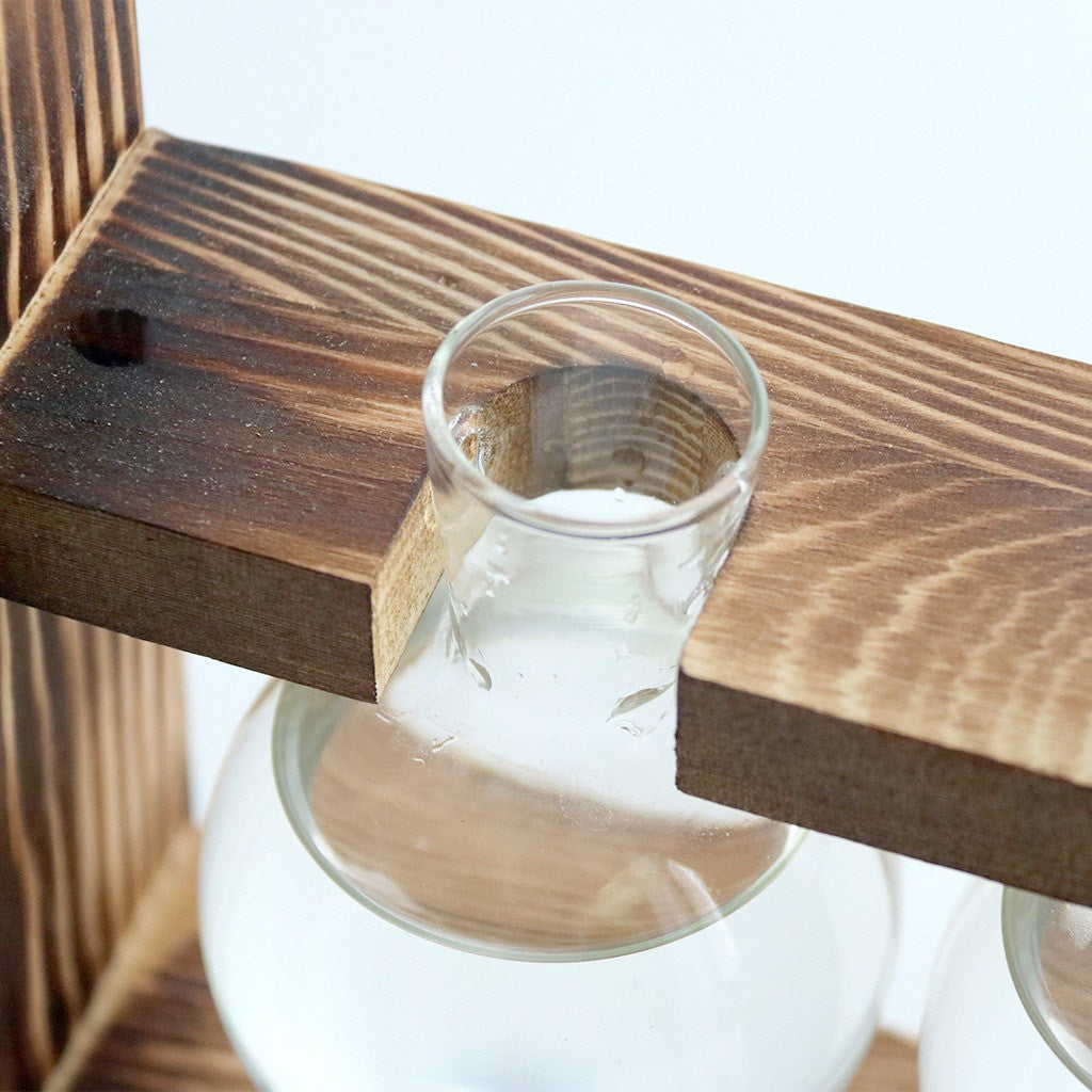 Vaso de vidro sofisticado para planta 3 Rede Canan