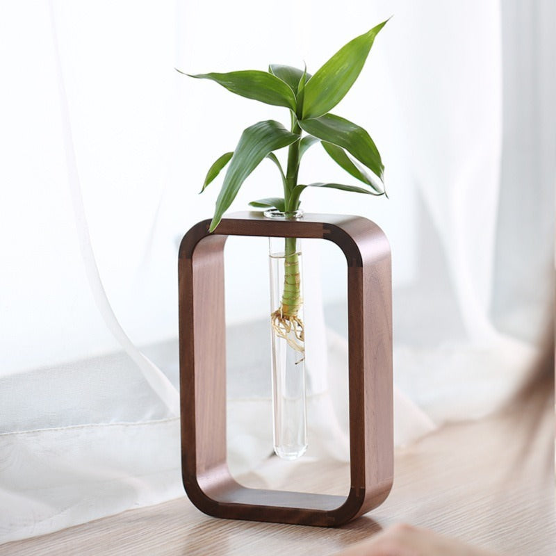 Vaso de vidro sofisticado para planta 1 Rede Canan
