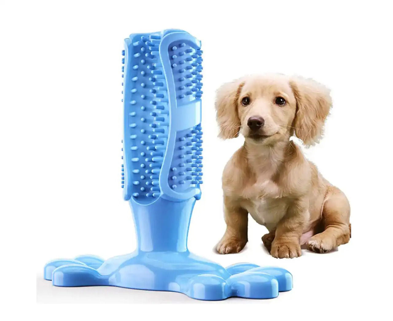Brinquedo de escova de dentes para pets Rede Canan