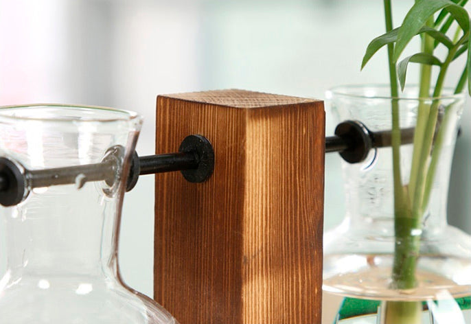 Vaso de vidro sofisticado para planta 6 Rede Canan