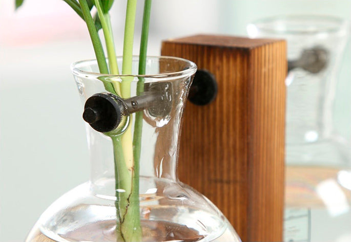 Vaso de vidro sofisticado para planta 6 Rede Canan