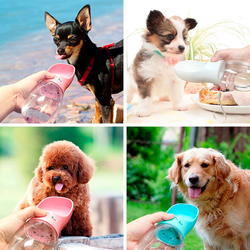 Garrafa com dispenser de água para pets Rede Canan