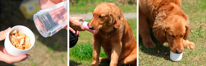 Garrafa com dispenser de água para pets Rede Canan