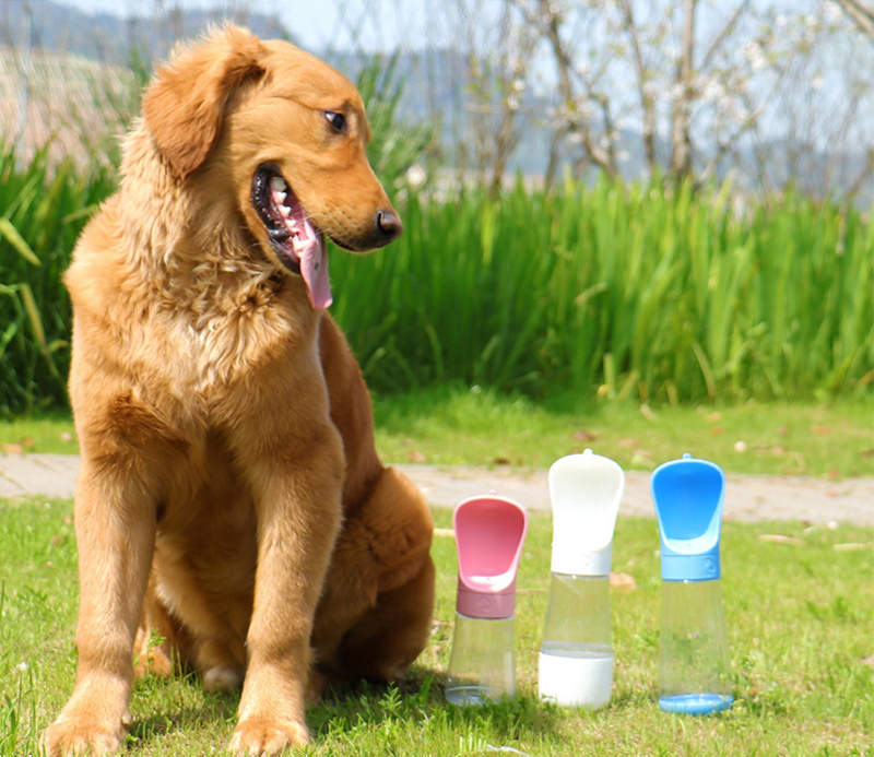Garrafa com dispenser de água para pets Rede Canan