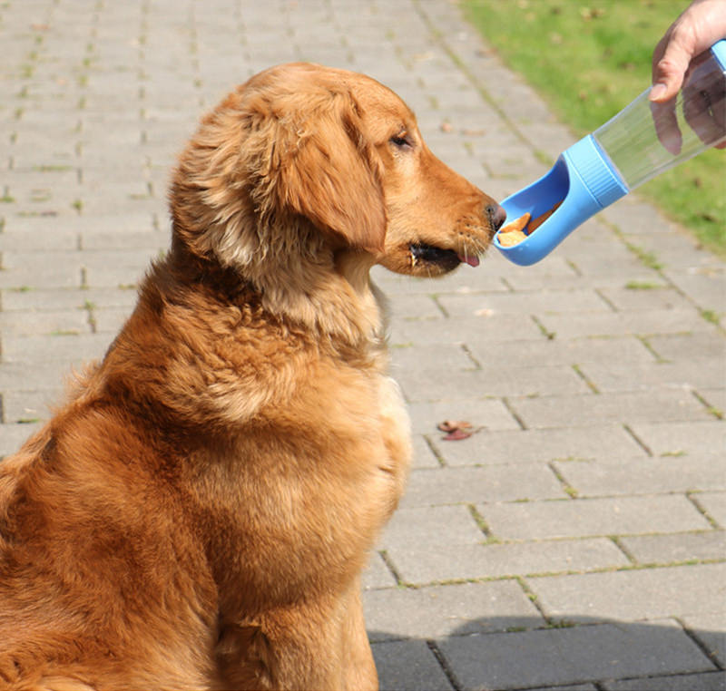 Garrafa com dispenser de água para pets Rede Canan