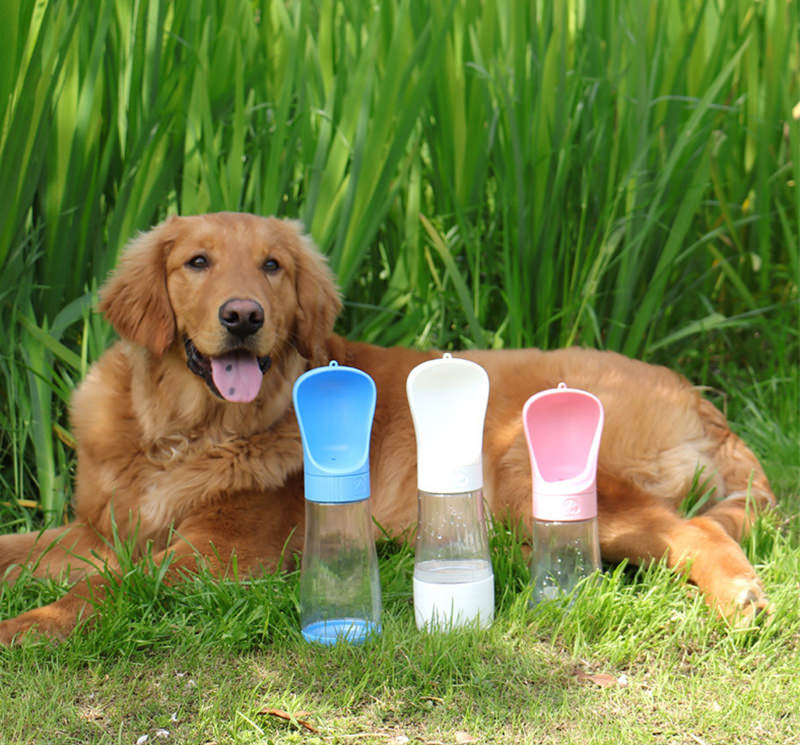 Garrafa com dispenser de água para pets Rede Canan