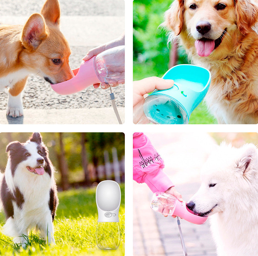 Garrafa com dispenser de água para pets Rede Canan