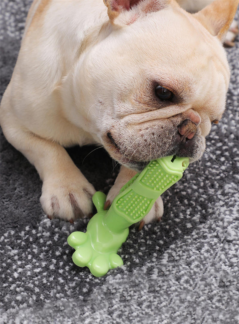 Brinquedo de escova de dentes para pets Rede Canan