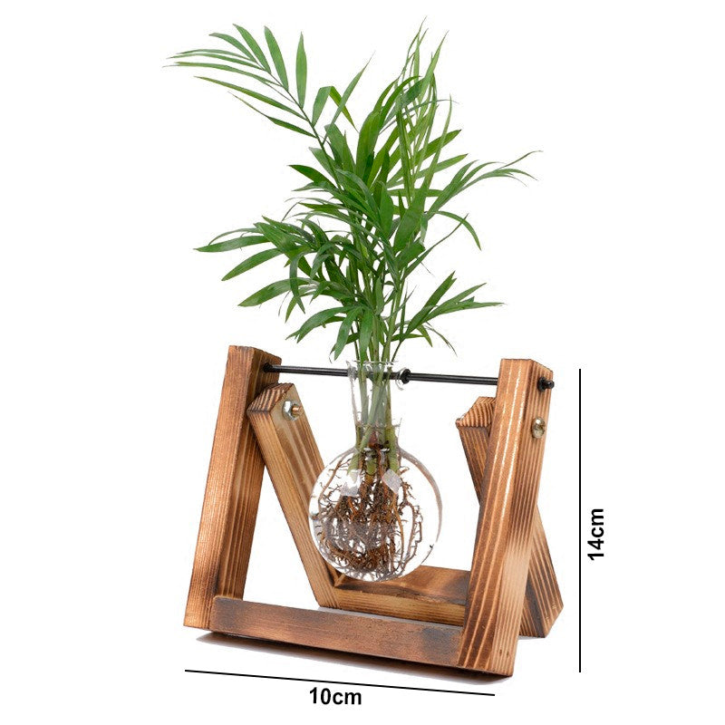 Vaso de vidro sofisticado para planta 5 Rede Canan