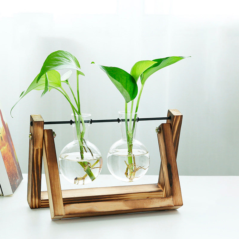 Vaso de vidro sofisticado para planta 5 Rede Canan