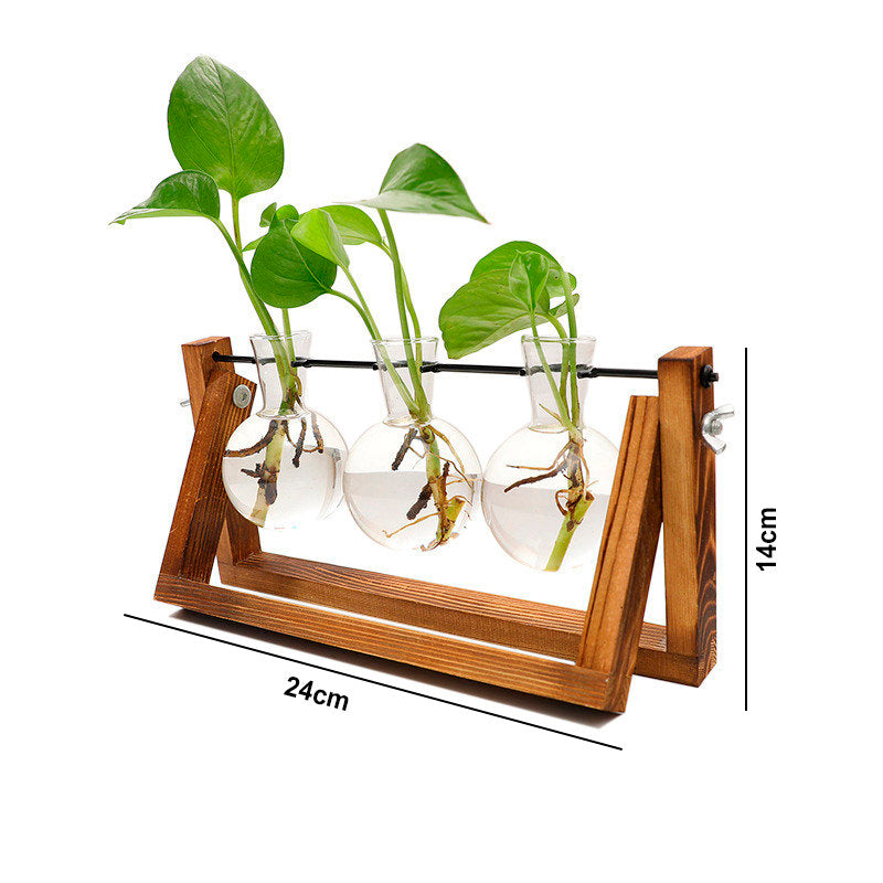 Vaso de vidro sofisticado para planta 5 Rede Canan
