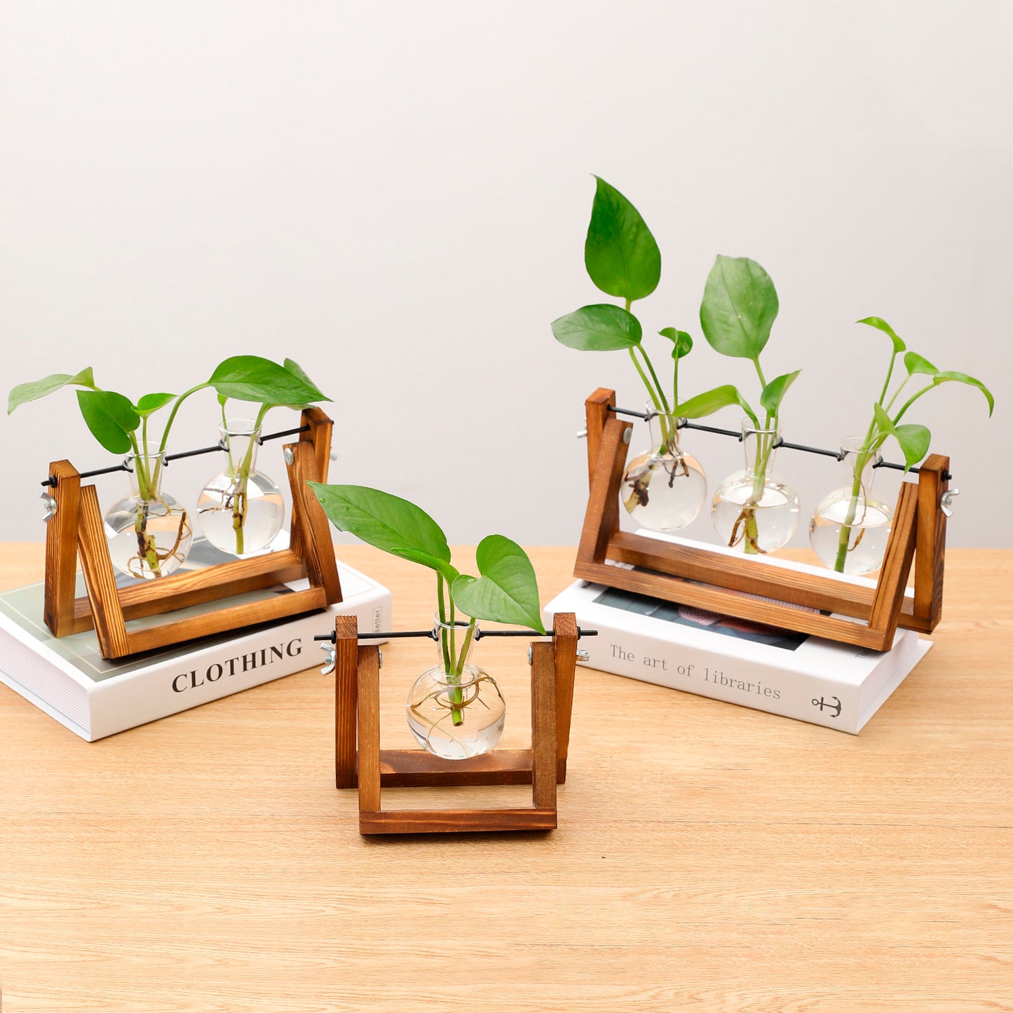 Vaso de vidro sofisticado para planta 5 Rede Canan