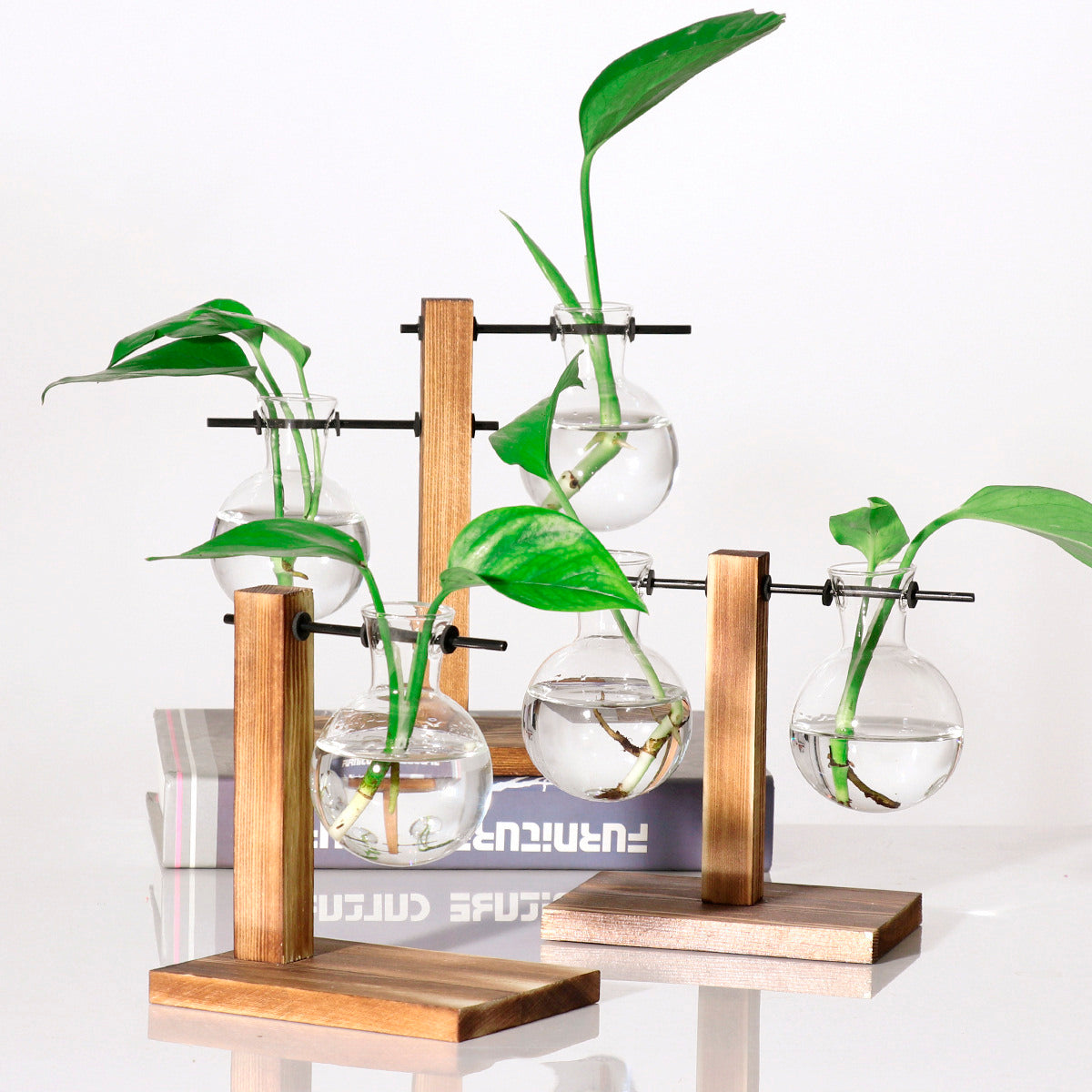 Vaso de vidro sofisticado para planta 6 Rede Canan