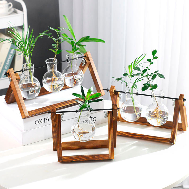 Vaso de vidro sofisticado para planta 5 Rede Canan