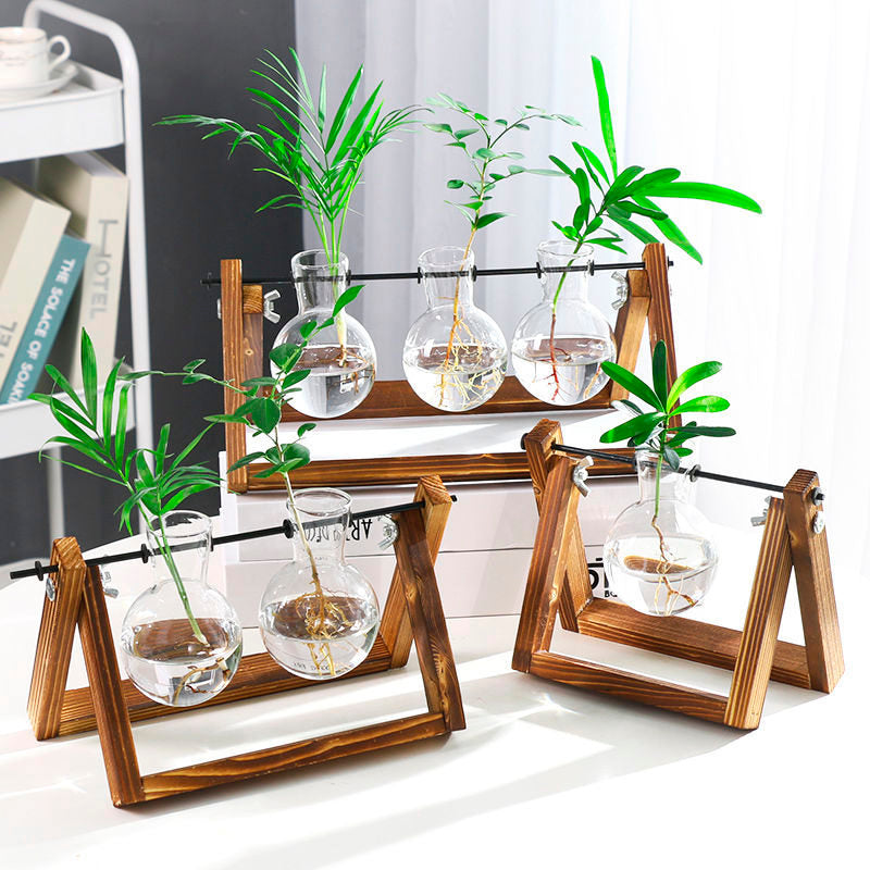 Vaso de vidro sofisticado para planta 5 Rede Canan