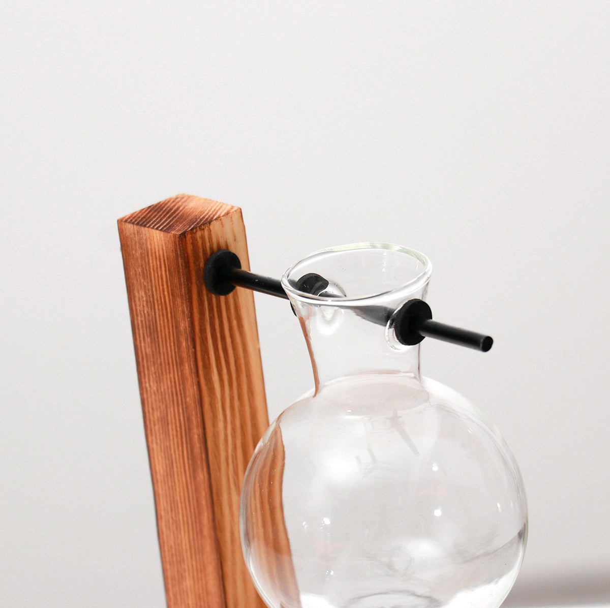 Vaso de vidro sofisticado para planta 6 Rede Canan
