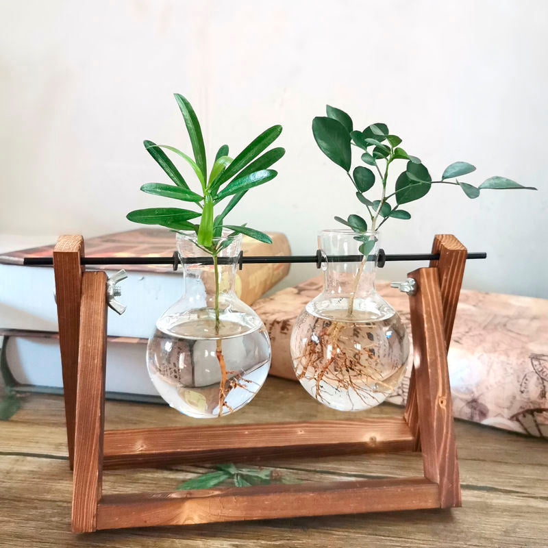 Vaso de vidro sofisticado para planta 5 Rede Canan