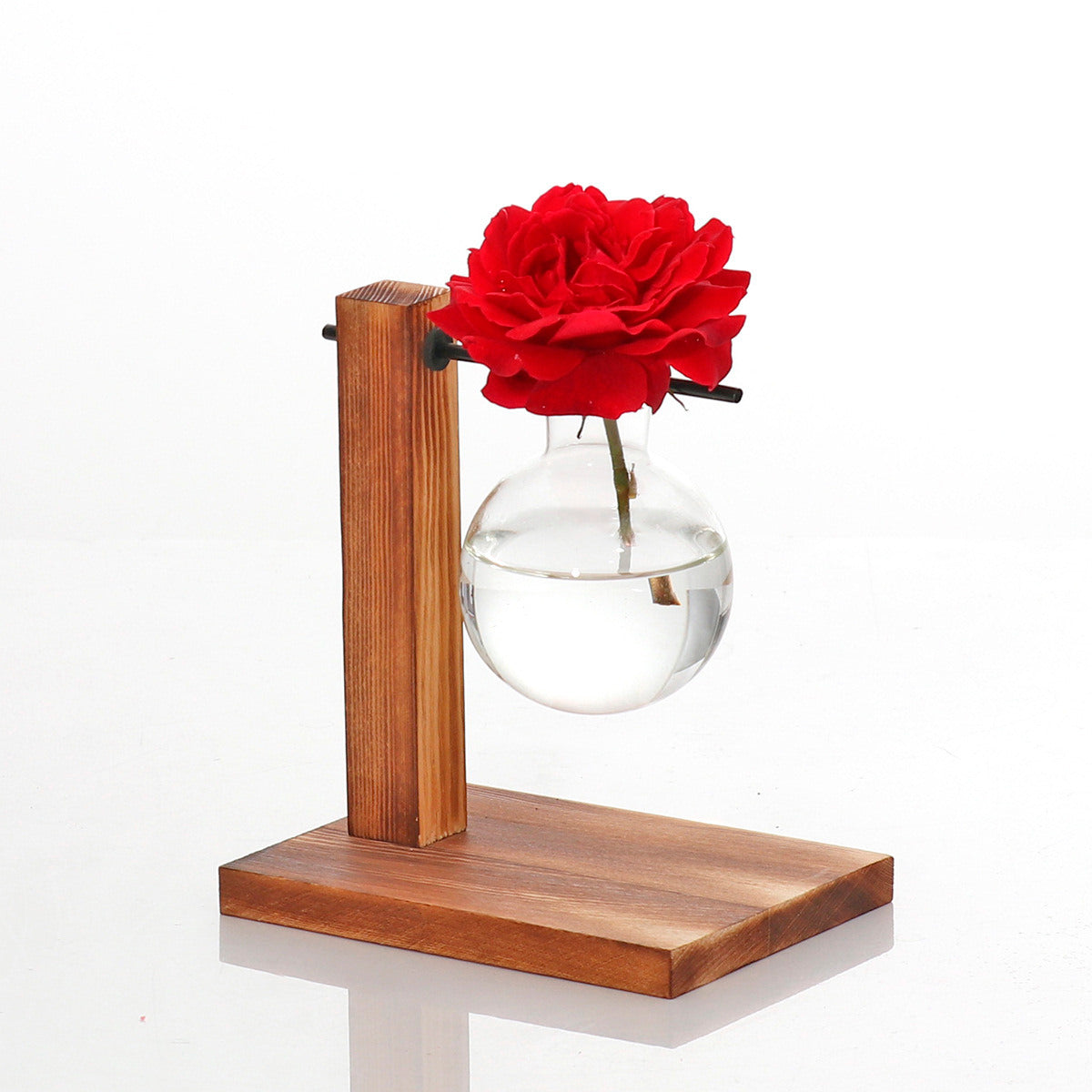 Vaso de vidro sofisticado para planta 6 Rede Canan