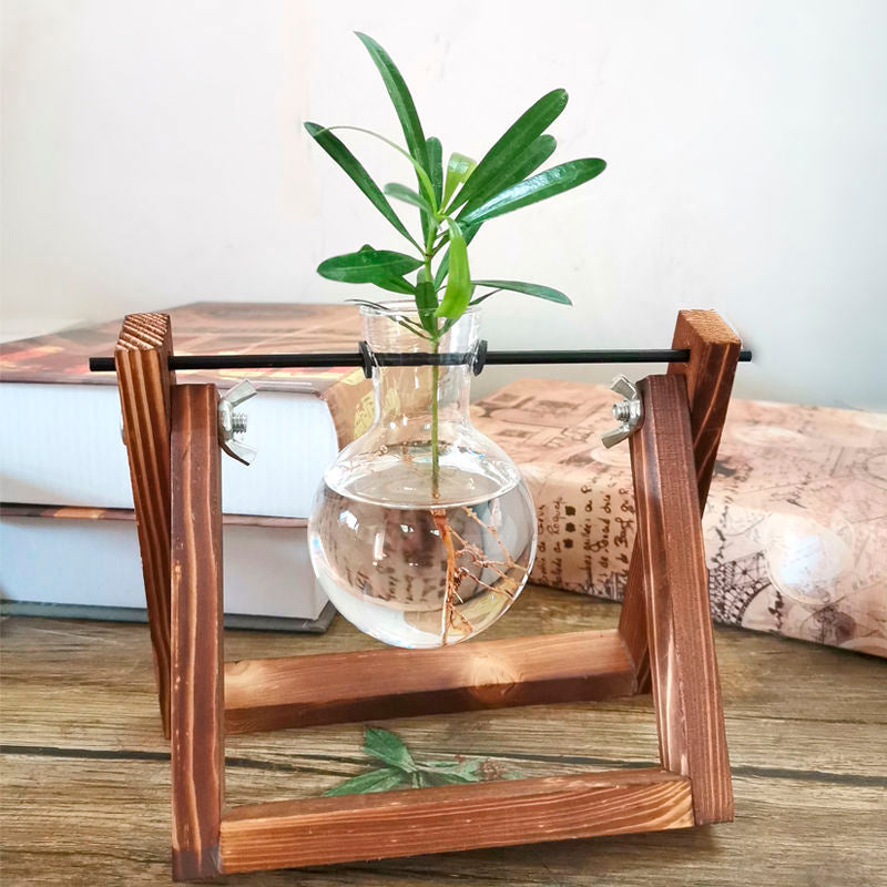 Vaso de vidro sofisticado para planta 5 Rede Canan