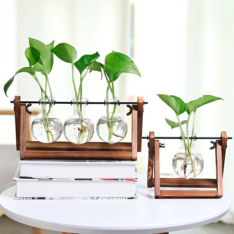 Vaso de vidro sofisticado para planta 5 Rede Canan