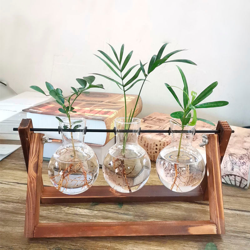 Vaso de vidro sofisticado para planta 5 Rede Canan