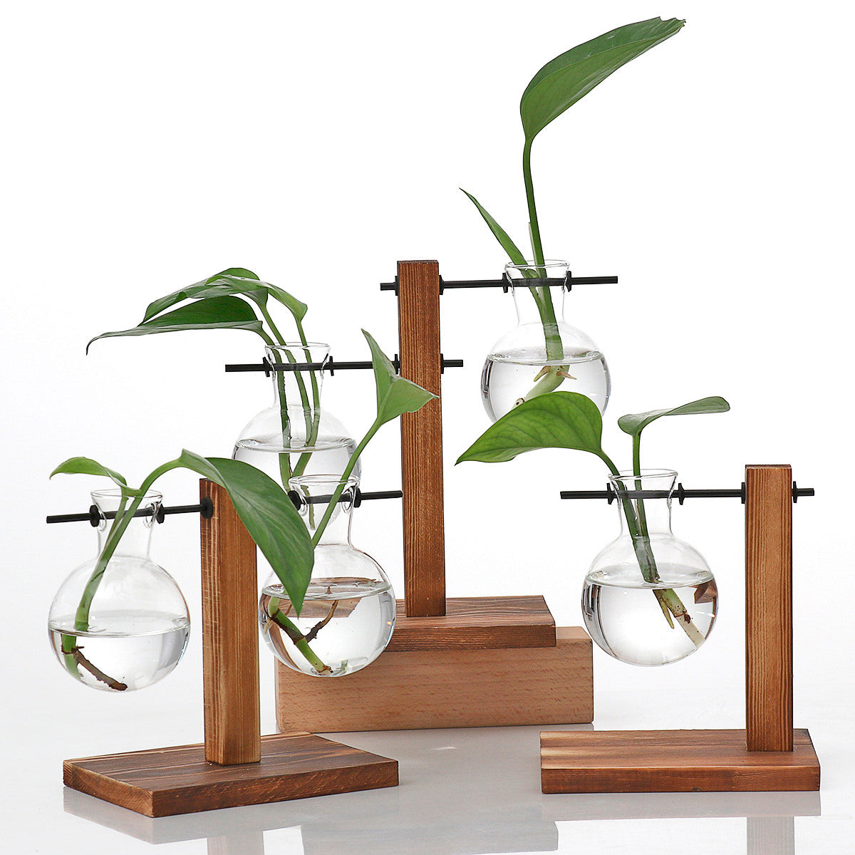 Vaso de vidro sofisticado para planta 6 Rede Canan