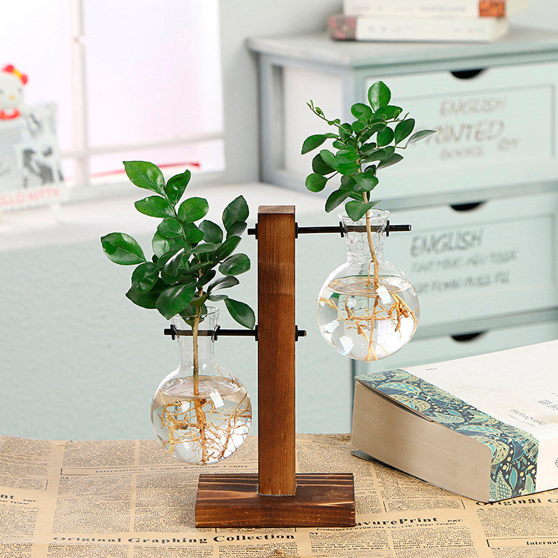 Vaso de vidro sofisticado para planta 6 Rede Canan