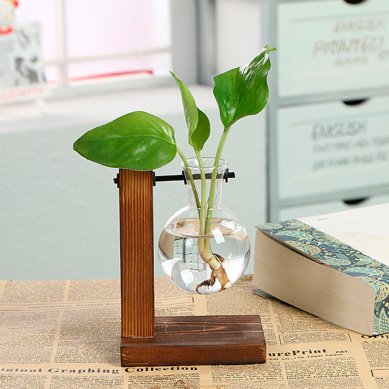 Vaso de vidro sofisticado para planta 6 Rede Canan