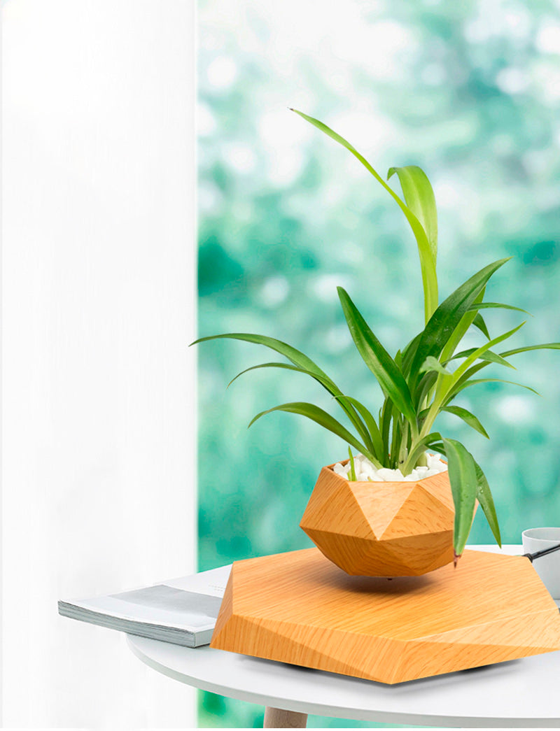 Vaso para planta com levitação magnética e rotação de 360º Rede Canan
