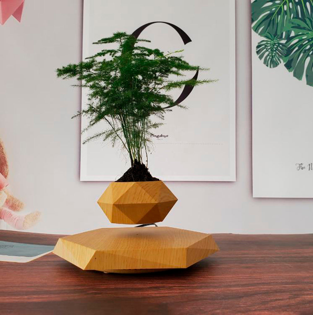 Vaso para planta com levitação magnética e rotação de 360º Rede Canan