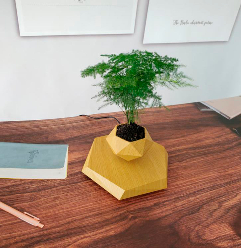 Vaso para planta com levitação magnética e rotação de 360º Rede Canan