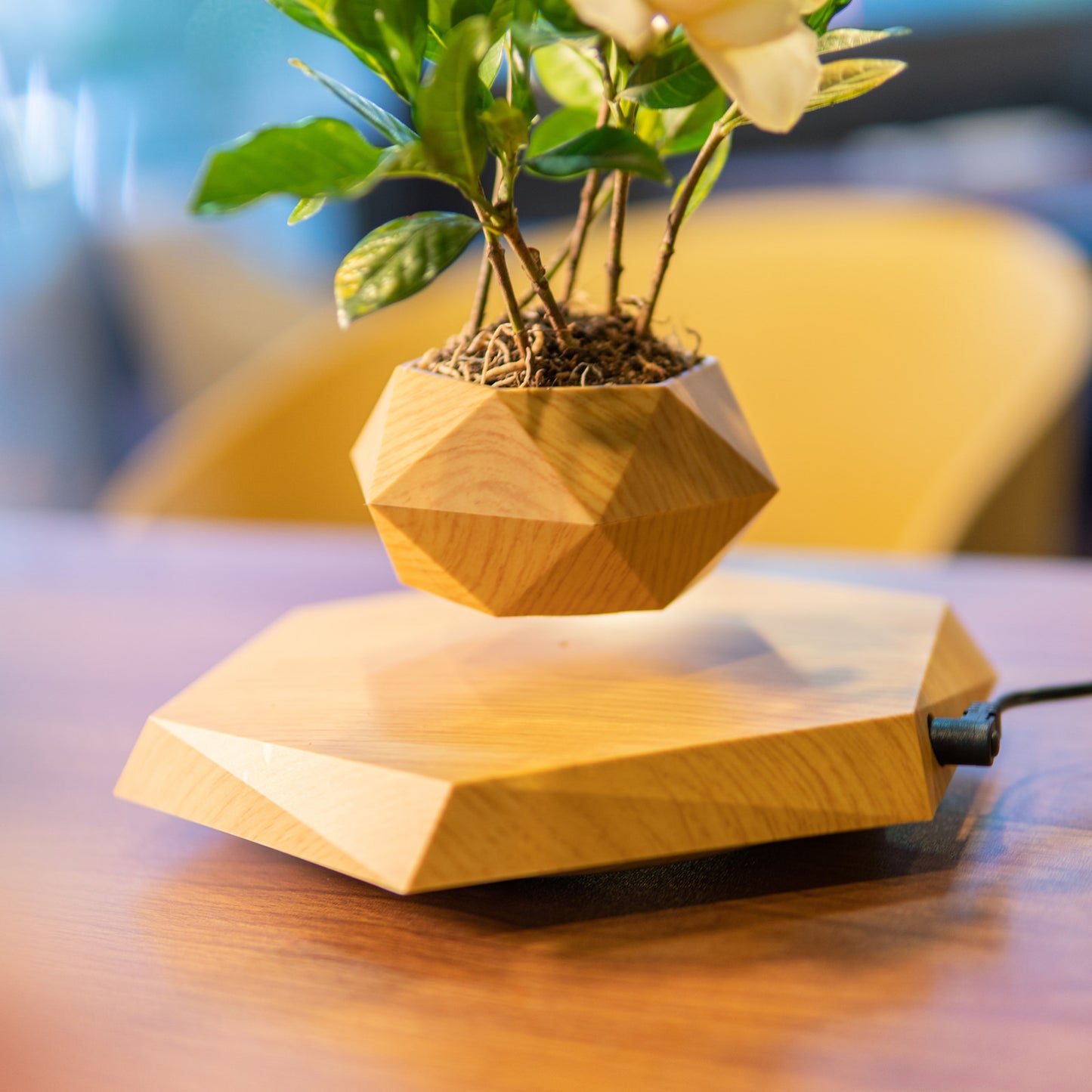 Vaso para planta com levitação magnética e rotação de 360º Rede Canan