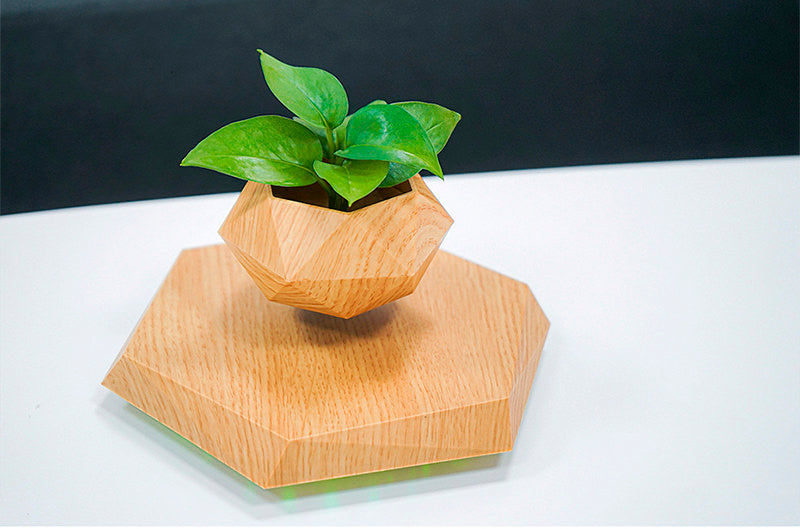 Vaso para planta com levitação magnética e rotação de 360º Rede Canan