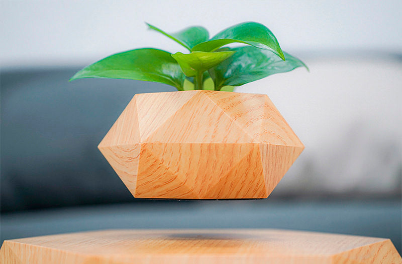 Vaso para planta com levitação magnética e rotação de 360º Rede Canan