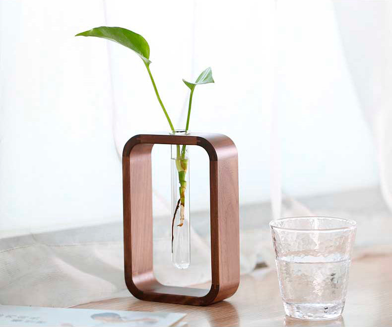 Vaso de vidro sofisticado para planta 1 Rede Canan