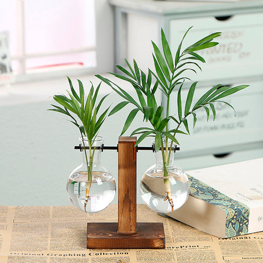 Vaso de vidro sofisticado para planta 6 Rede Canan