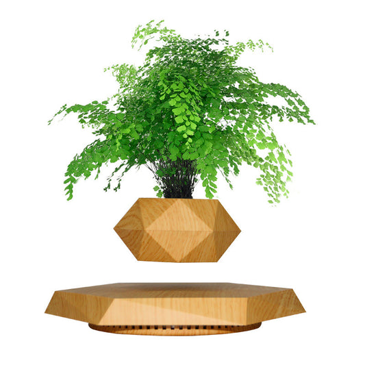 Vaso para planta com levitação magnética e rotação de 360º Rede Canan