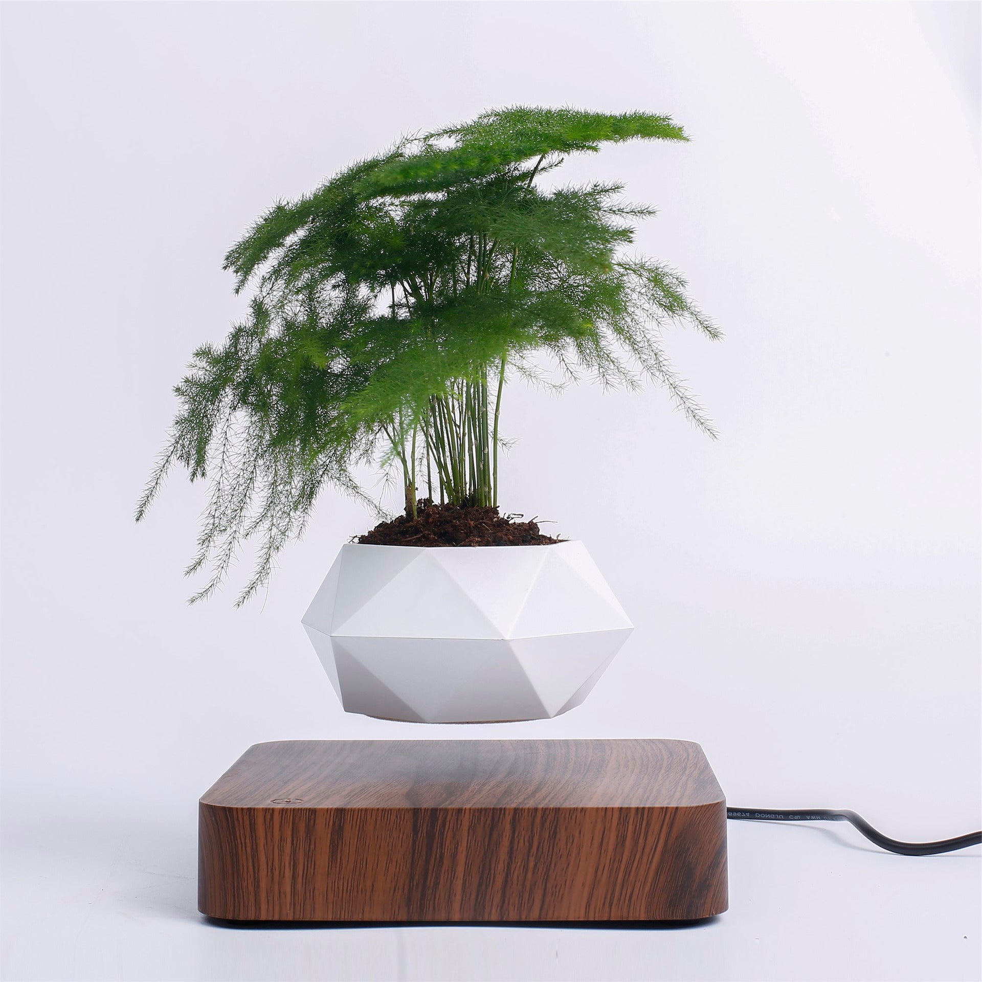 Vaso para planta com levitação magnética e rotação de 360º 2 Rede Canan
