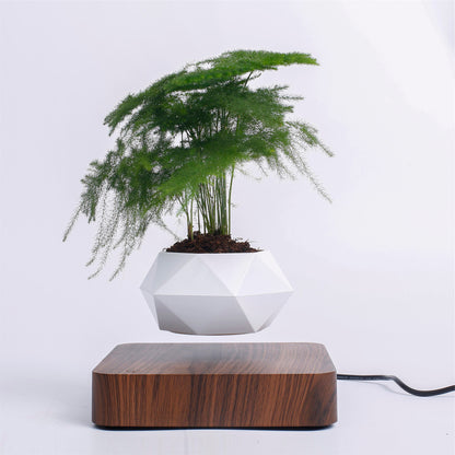 Vaso para planta com levitação magnética e rotação de 360º 2 Rede Canan