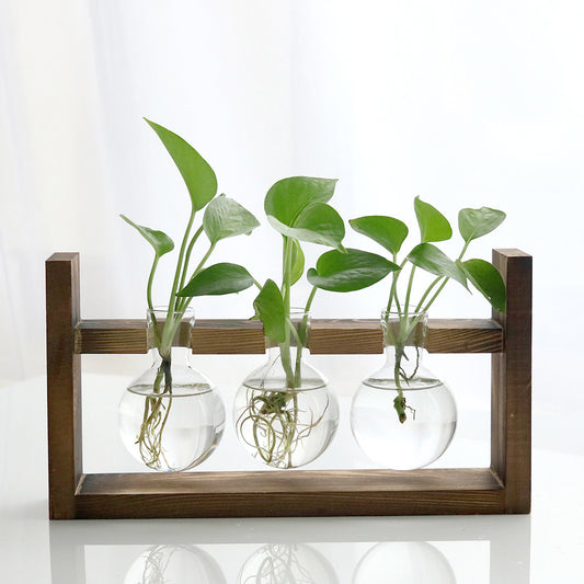 Vaso de vidro sofisticado para planta 3 Rede Canan