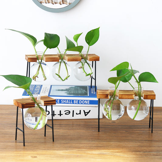 Vaso de vidro sofisticado para planta 2 Rede Canan