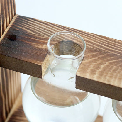 Vaso de vidro sofisticado para planta 3 Rede Canan