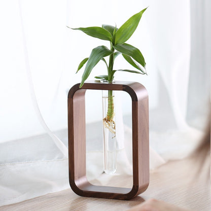 Vaso de vidro sofisticado para planta 1 Rede Canan