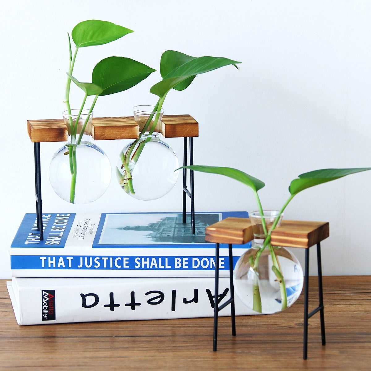 Vaso de vidro sofisticado para planta 2 Rede Canan