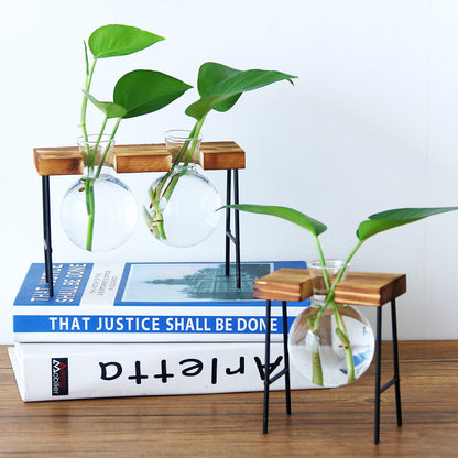Vaso de vidro sofisticado para planta 2 Rede Canan