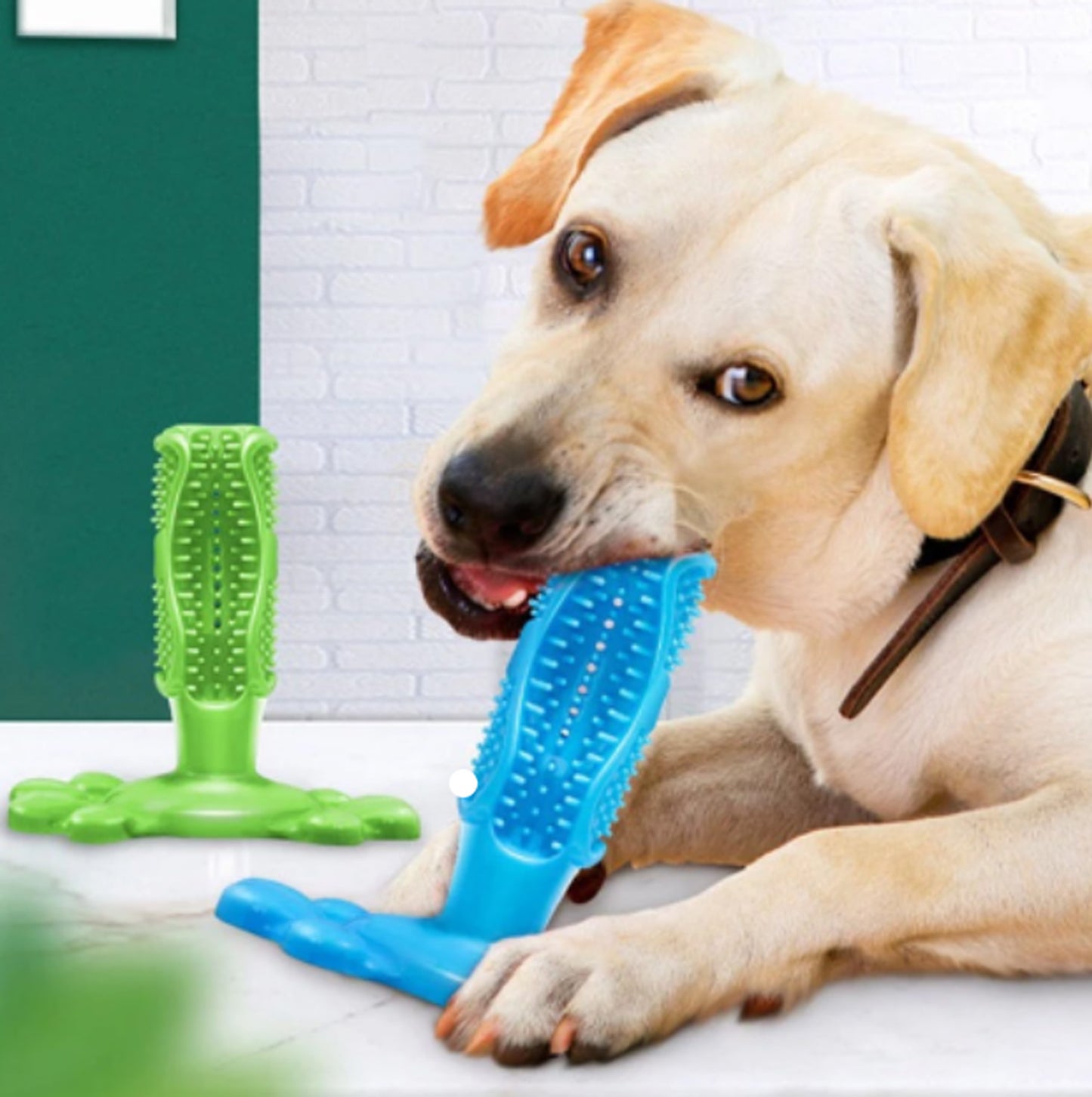 Brinquedo de escova de dentes para pets Rede Canan